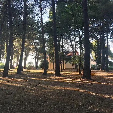 Pribetic Appartement Poreč
