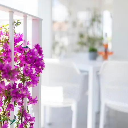 Appartement Pribetic Poreč